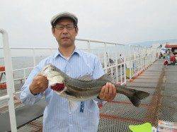 尼崎市立魚つり公園 エビ撒きでハネ・セイゴ