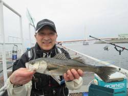 尼崎市立魚つり公園　雨の中ハネの釣果、サビ…