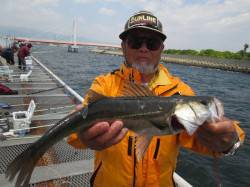 尼崎市立魚つり公園のエビ撒きハネ〜朝一深棚…