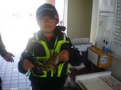 姫路市立遊魚センター、探り釣りでイイ型の根…