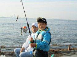 尼崎市立魚つり公園、園内イワシ大漁！他スズキ、チヌ