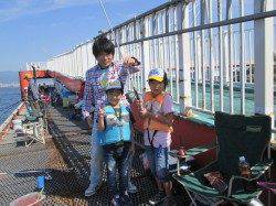 尼崎市立魚つり公園、園内イワシ大漁！他スズキ、チヌ