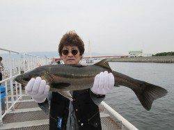 尼崎魚つり公園エビ撒きズボ釣りで3本中60UP2本！大物に期待持てそう♪