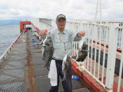 尼崎市立魚つり公園 落とし込みでチヌ狙い …