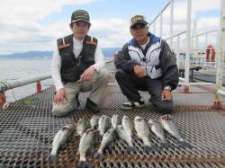 尼崎市立魚つり公園 早朝は２投に１投のペー…