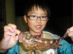 姫路市立遊魚センター 探り釣りでガシラ