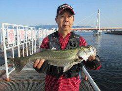 尼崎市魚つり公園　今日はハネ・セイゴ・チヌの釣果