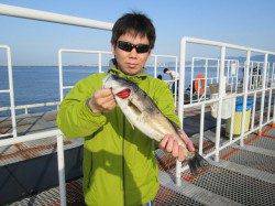 尼崎市魚つり公園　今日はハネ・セイゴ・チヌの釣果