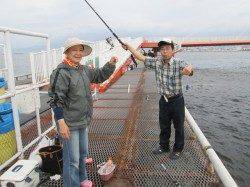 尼崎市立魚つり公園　サビキでイワシ・サッパ&落とし込みで良型チヌ