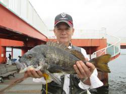 尼崎市立魚つり公園　サビキでイワシ・サッパ…