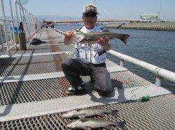 尼崎市立魚つり公園 やはりエビ撒きは朝一？ほかイワシも好調！