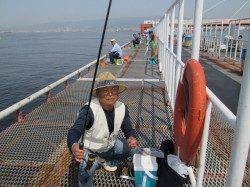 尼崎市立魚つり公園 サビキのイワシ4連掛けで計80匹越え