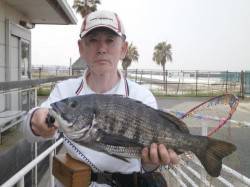 大阪南港魚つり園でデカチヌ48cm、ほか型…