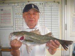 【31日】姫路市立遊漁センターの釣果