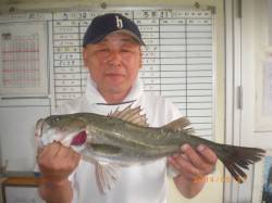 【31日】姫路市立遊漁センターの釣果