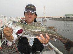 尼崎市立魚つり公園〜エビ撒きでスズキサイズ&サビキではイワシ連掛け