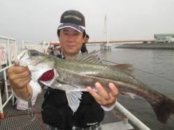 尼崎市立魚つり公園〜エビ撒きでスズキサイズ…