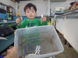 お子様釣果　小目津公園の磯でキス