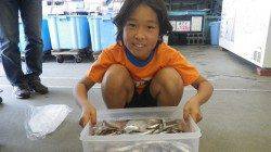 みなべ堺堤防　サビキでイワシの大漁釣果