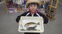 堺の堤防でサバ・マルアジ・マイワシ・カタクチイワシ・イサキ