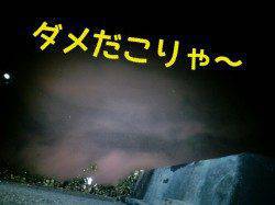 青イソメで根魚狙いなんとか 丸々したメバルGET♪