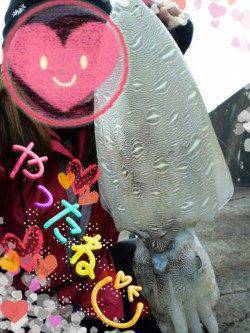 久美浜　墨族カンパリレッドでコウイカ1400g☆