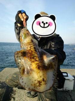 夕日港にて墨族カンパリレッドでキロアップの…