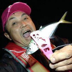 回遊待ちからのアジング釣果