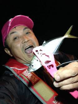 回遊待ちからのアジング釣果