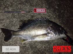 アジングなのにチニング〜2lbのラインでキ…