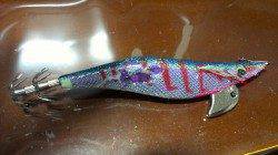 宇久にてエギング、ズシンと重い手応えで良サイズのコウイカ(^_^)v