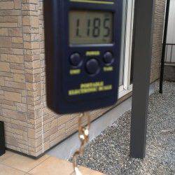 田烏～釣姫　アオリイカ本命エギングもコウイカのキロオーバー