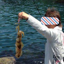 京丹後方面へエギングへ、立て続けにアオリイカget!!