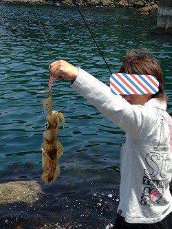 京丹後方面へエギングへ、立て続けにアオリイカget!!