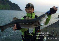 津居山、早朝にシーバスGET！