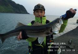 津居山、早朝にシーバスGET！