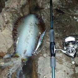 白浜エリアでエギング、薄暗くなるタイミングでゲット