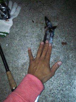 洲本で太刀魚狙い、シーズンインはもうそろそろかな～