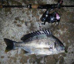 舞洲にてSLK ドリフト気味にさせるとキビレが喰ってくれました