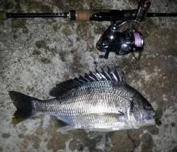 舞洲にてSLK ドリフト気味にさせるとキビ…