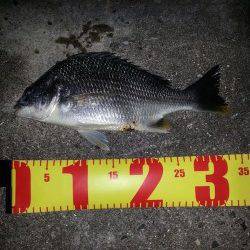 舞洲にてSLK ドリフト気味にさせるとキビレが喰ってくれました