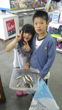 みなべ小目津　お子様が投げ釣りでキスの釣果…