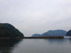 音海をランガン、エギングは釣果なくガシリングでゲット