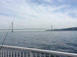 大蔵海岸投げ釣りと探り釣りで根魚狙い〜ガシラ・アイナメ