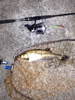 東二見人工島〜メバリングでタケノコメバル&…