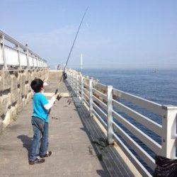 新浜漁港メバリングでガシラ&ベランダのチョイ投げでカレイ