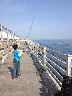 新浜漁港メバリングでガシラ&ベランダのチョイ投げでカレイ