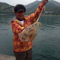 串本にて雨の中ヤエンでアオリイカ〜ドラグがなり待望の1杯！