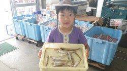 みなべエリアでの投げ釣り、20cmまでのキス20匹♪