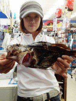 リールが巻けないほどの引きで尺ガシラ！ 東二見人工島探り釣り